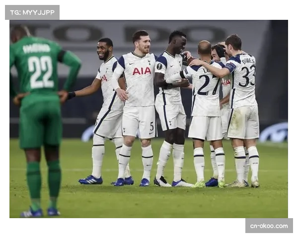 热刺主场不敌纽卡斯尔 保级压力进一步增大