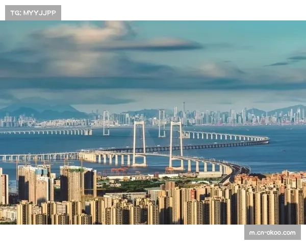 深圳从第十三升至第四,进攻效率提升成排名飞跃关键 深圳从第十三升至第四,进攻效率提升成排名飞跃关键